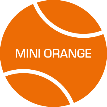 Mini Orange - Summer Term