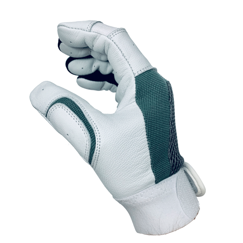 Warriors Batting Gloves (2/$40)