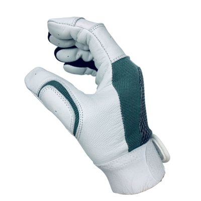 Warriors Batting Gloves (2/$40)