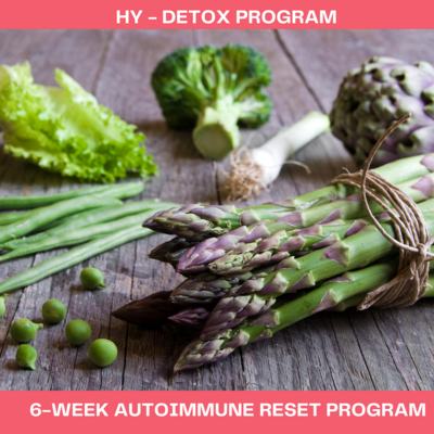 #6 Week Autoimmune Protocol Program
