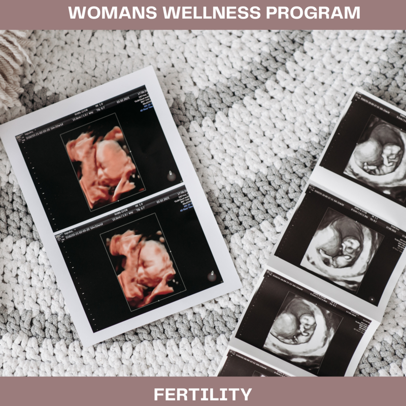 Womans Wellness Program  Fertility Program