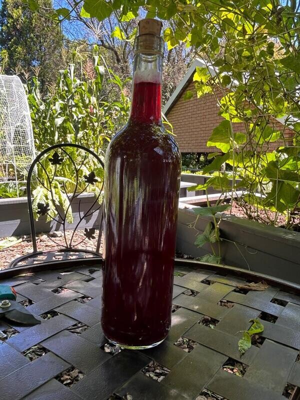 Beetkvaas