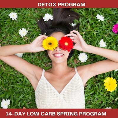 #14-DAY LOW CARB PROGRAM