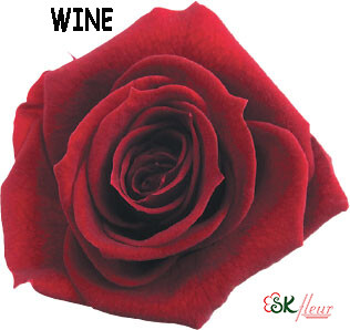Standard Rose / Wine