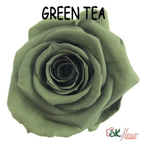 Standard Rose / Green Tea