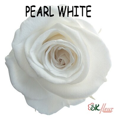 Mediana Rose / Pearl White