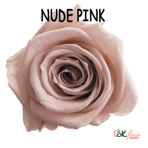 Mediana Rose / Nude Pink
