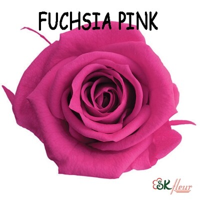 Mediana Rose / Fuchsia Pink