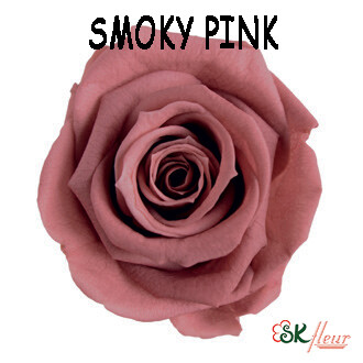 Mediana Rose / Smoky Pink