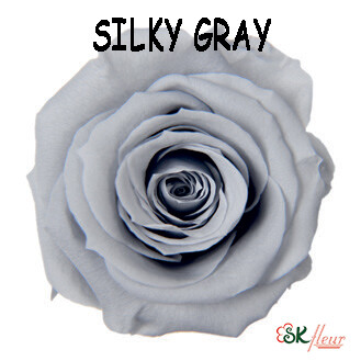 Mediana Rose / Silky Gray