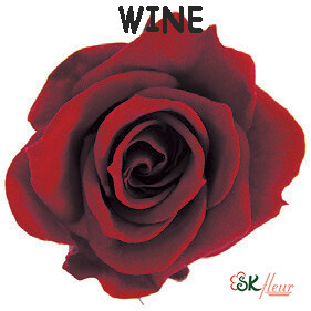 Spray Rose / Wine