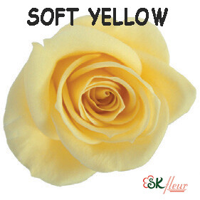 Spray Rose / Soft Yellow