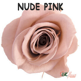 Spray Rose / Nude Pink
