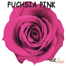 Spray Rose / Fuchsia Pink