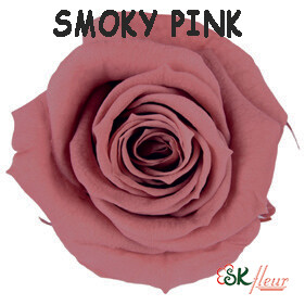 Spray Rose / Smoky Pink