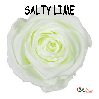 Spray Rose / Salty Lime