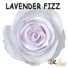 Spray Rose / Lavender Fizz