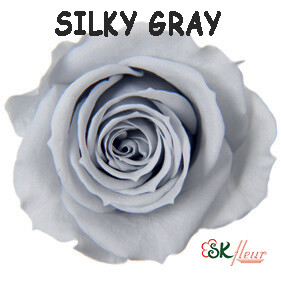 Spray Rose / Silky Gray