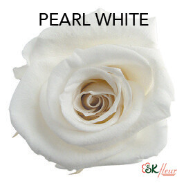 Mediana Short Rose / Pearl White Mediana Short Rose / Pearl White