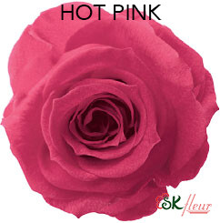 Mediana Short Rose / Hot Pink