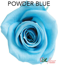 Mediana Short Rose / Powder Blue Mediana Short Rose / Powder Blue
