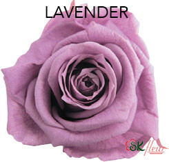 Mediana Short Rose / Lavender