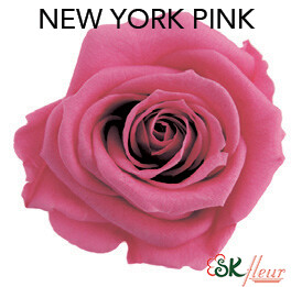 Mediana Short Rose / New York Pink Mediana Short Rose / New York Pink