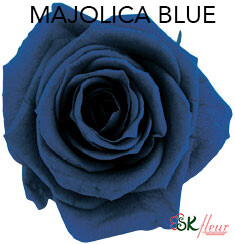 Mediana Short Rose / Majolica Blue