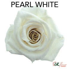 Baby Rose / Pearl White