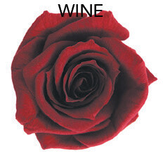 Baby Rose / Wine