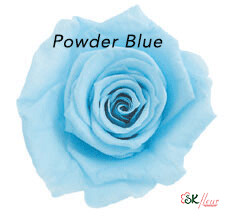 Baby Rose / Powder Blue