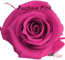 Baby Rose / Fuchsia Pink