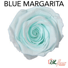 Baby Rose / Blue Margarita