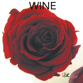 Piccola Blossom Rose / Wine