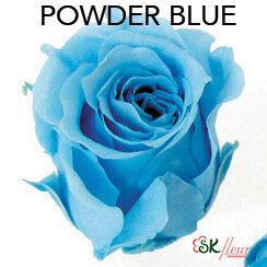 Piccola Blossom Rose / Powder Blue