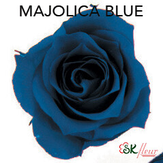 Piccola Blossom Rose / Majolica Blue