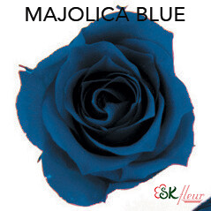 Piccola Blossom Rose / Majolica Blue Piccola Blossom Rose / Majolica Blue