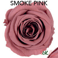 Piccola Blossom Rose / Smoky Pink