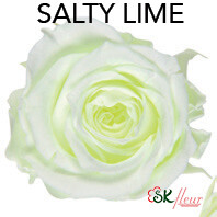 Piccola Blossom Rose / Salty Lime