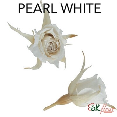 Micro Rose / Pearl White