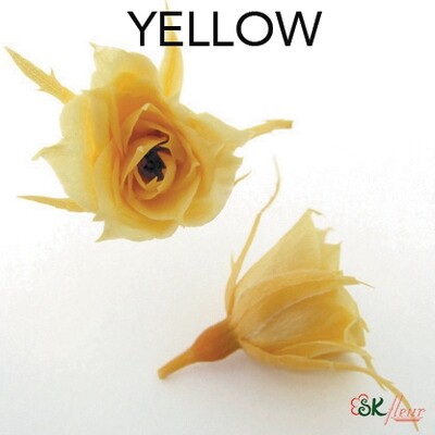 Micro Rose / Yellow