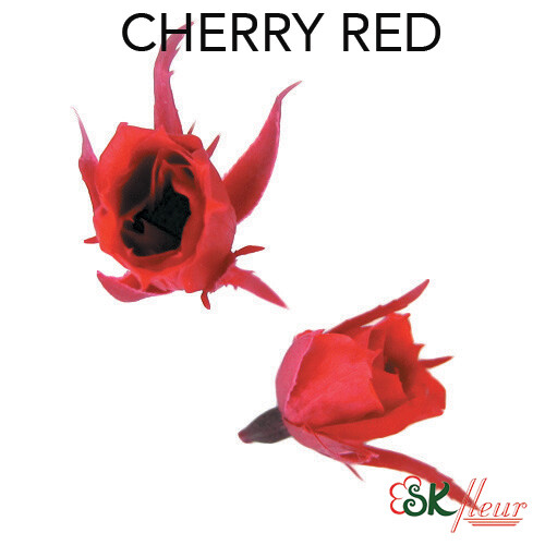 Micro Rose / Cherry Red