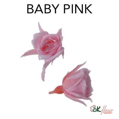 Micro Rose / Baby Pink