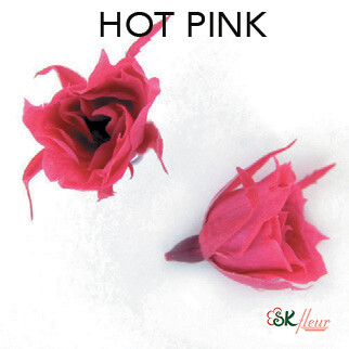 Micro Rose / Hot Pink