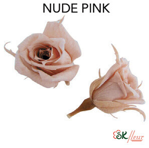 Micro Rose / Nude Pink