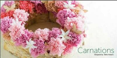 CARNATIONS