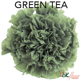 Standard Carnation / Green Tea
