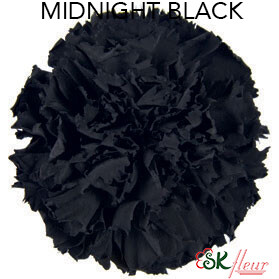 Standard Carnation / Midnight Black