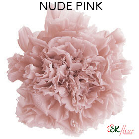 Mini Carnation / Nude Pink