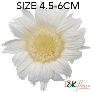 MINI GERBERAS